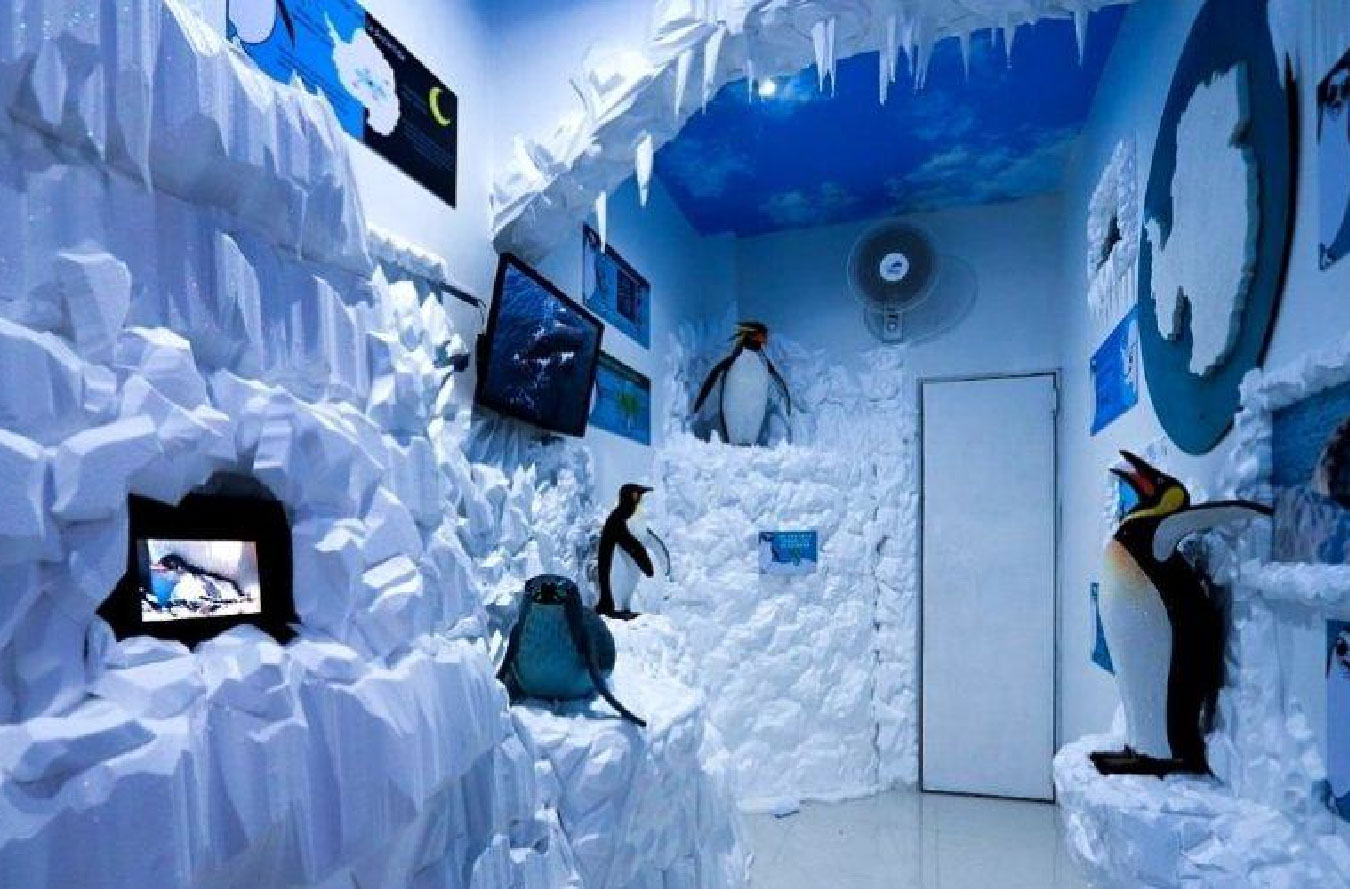 Museo Polarium